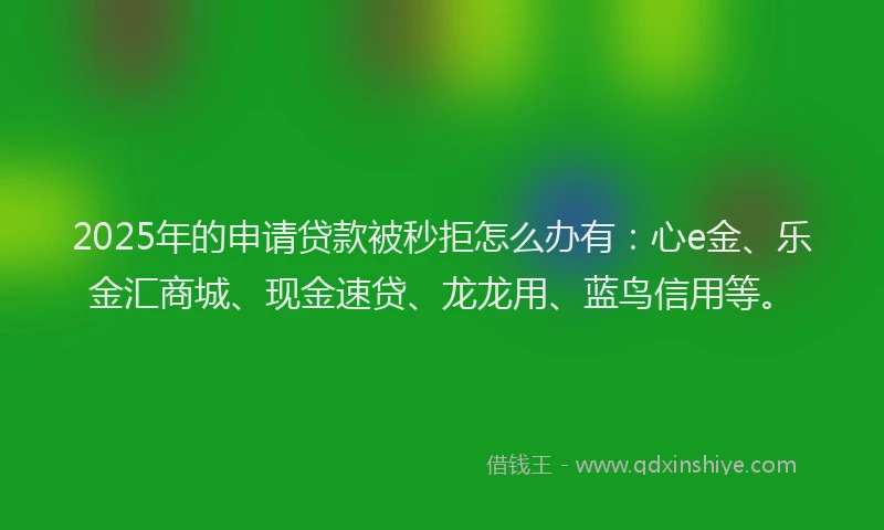 2025年的申请贷款被秒拒怎么办有：心e金、乐金汇商城、现金速贷、龙龙用、蓝鸟信用等。