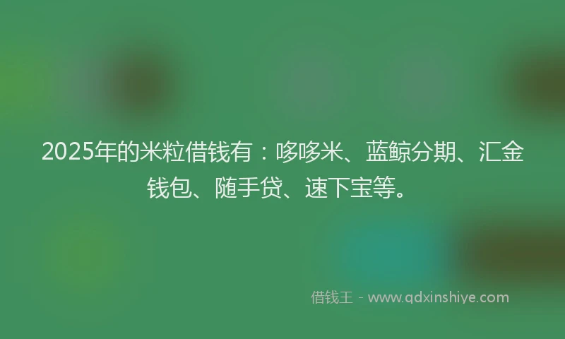 2025年的米粒借钱有：哆哆米、蓝鲸分期、汇金钱包、随手贷、速下宝等。