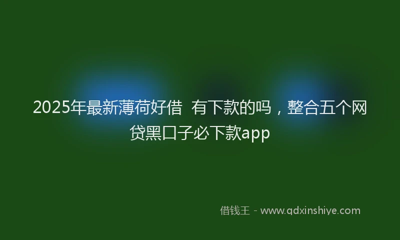 2025年最新薄荷好借  有下款的吗，整合五个网贷黑口子必下款app
