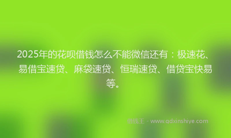 2025年的花呗借钱怎么不能微信还有：极速花、易借宝速贷、麻袋速贷、恒瑞速贷、借贷宝快易等。