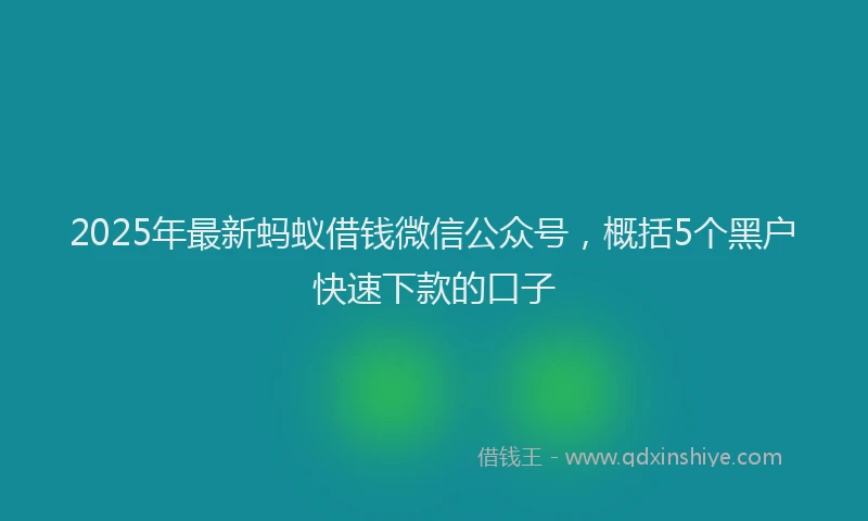 2025年最新蚂蚁借钱微信公众号，概括5个黑户快速下款的口子