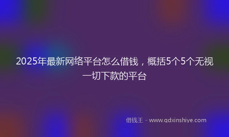 2025年最新网络平台怎么借钱，概括5个5个无视一切下款的平台