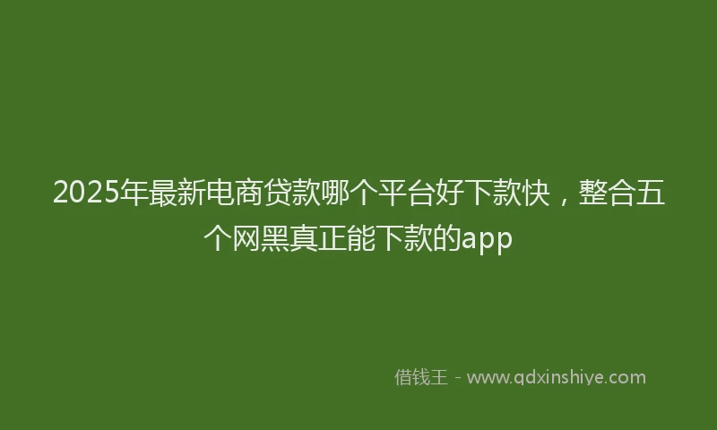 2025年最新电商贷款哪个平台好下款快，整合五个网黑真正能下款的app