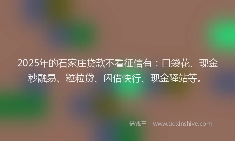 2025年的石家庄贷款不看征信有：口袋花、现金秒融易、粒粒贷、闪借快行、现金驿站等。