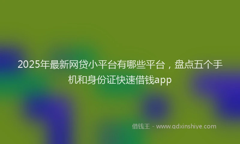 2025年最新网贷小平台有哪些平台，盘点五个手机和身份证快速借钱app