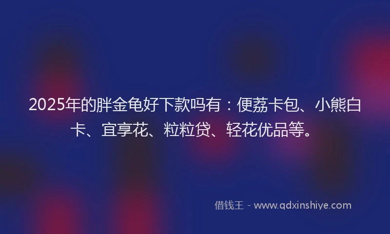 2025年的胖金龟好下款吗有：便荔卡包、小熊白卡、宜享花、粒粒贷、轻花优品等。