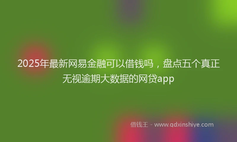 2025年最新网易金融可以借钱吗，盘点五个真正无视逾期大数据的网贷app