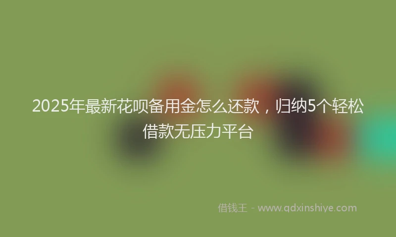 2025年最新花呗备用金怎么还款，归纳5个轻松借款无压力平台