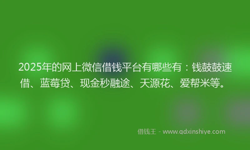 2025年的网上微信借钱平台有哪些有：钱鼓鼓速借、蓝莓贷、现金秒融途、天源花、爱帮米等。