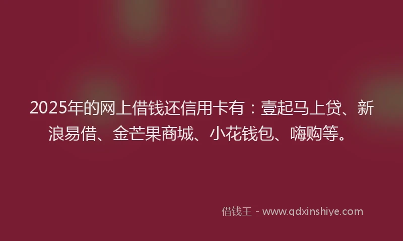 2025年的网上借钱还信用卡有：壹起马上贷、新浪易借、金芒果商城、小花钱包、嗨购等。