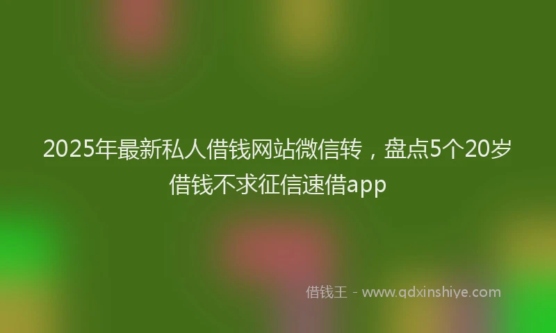 2025年最新私人借钱网站微信转，盘点5个20岁借钱不求征信速借app