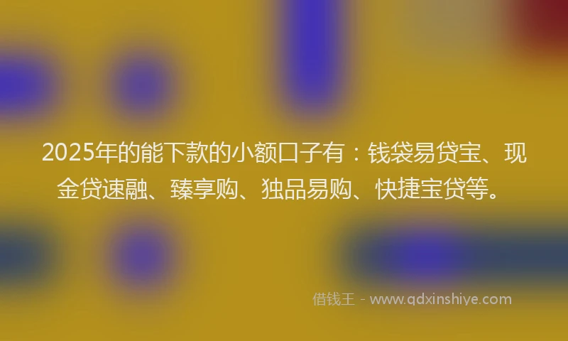 2025年的能下款的小额口子有：钱袋易贷宝、现金贷速融、臻享购、独品易购、快捷宝贷等。