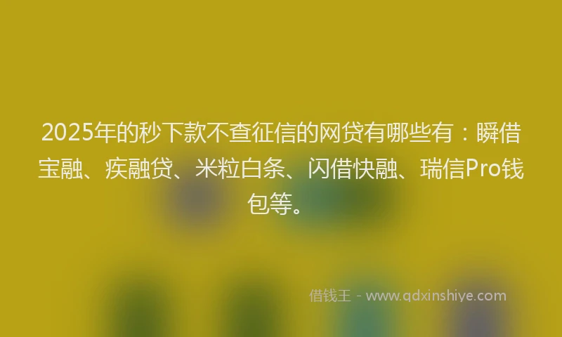 2025年的秒下款不查征信的网贷有哪些有：瞬借宝融、疾融贷、米粒白条、闪借快融、瑞信Pro钱包等。