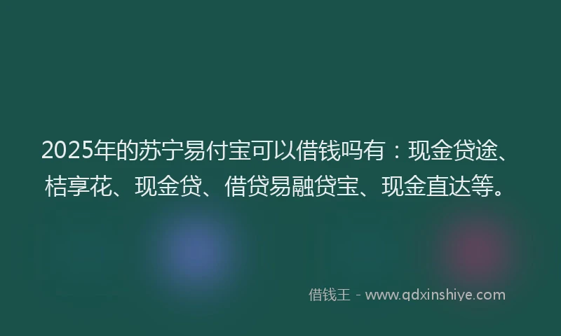 2025年的苏宁易付宝可以借钱吗有：现金贷途、桔享花、现金贷、借贷易融贷宝、现金直达等。