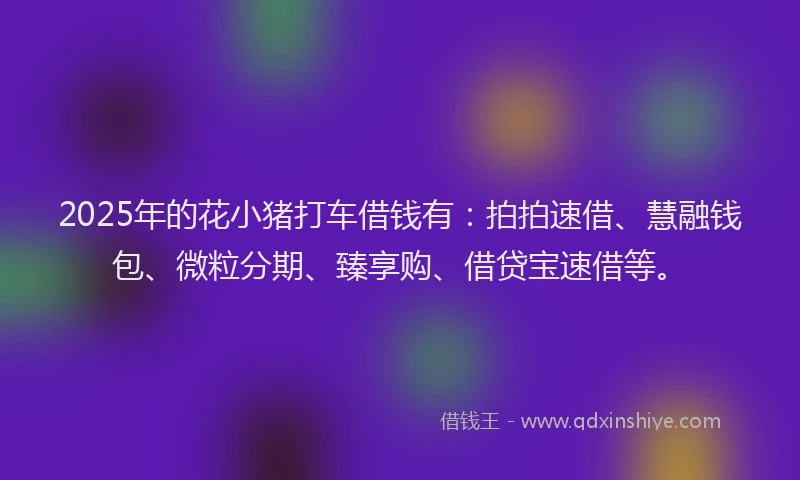 2025年的花小猪打车借钱有：拍拍速借、慧融钱包、微粒分期、臻享购、借贷宝速借等。