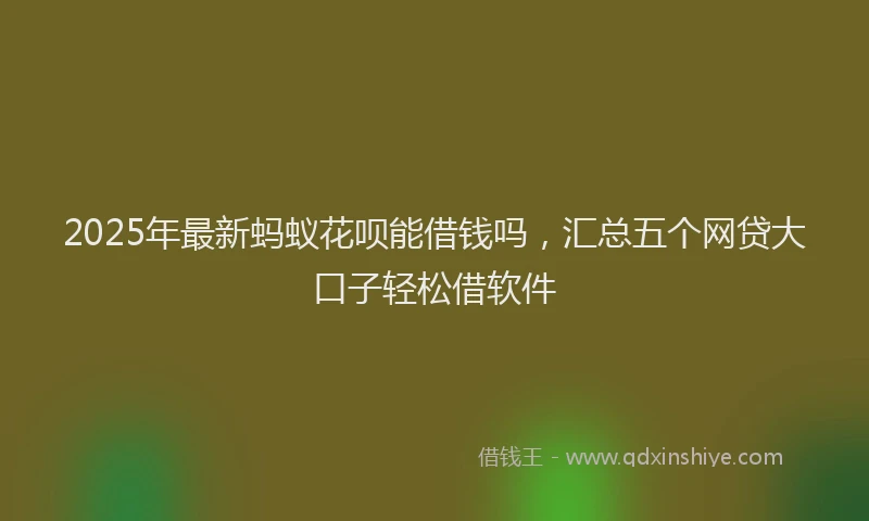 2025年最新蚂蚁花呗能借钱吗，汇总五个网贷大口子轻松借软件