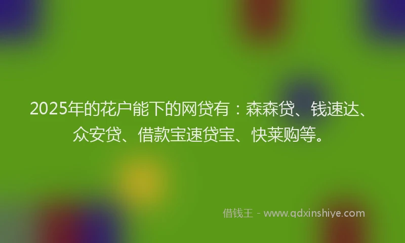 2025年的花户能下的网贷有：森森贷、钱速达、众安贷、借款宝速贷宝、快莱购等。