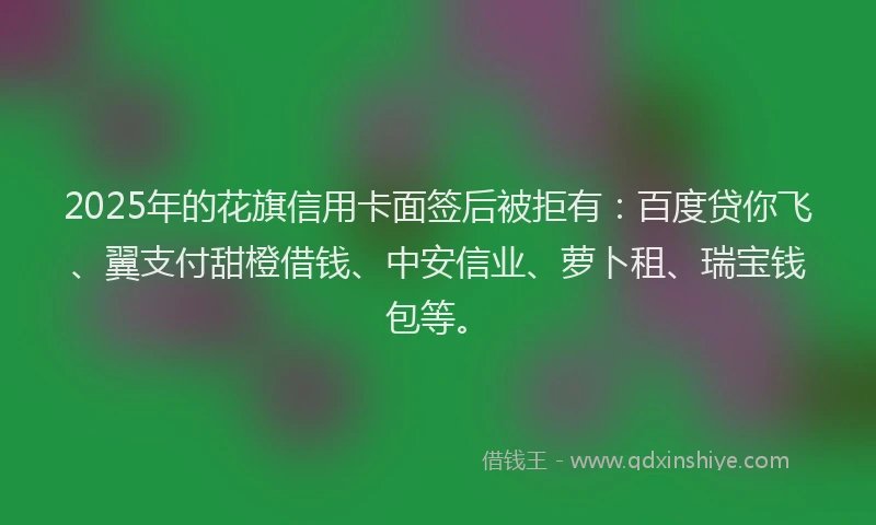 2025年的花旗信用卡面签后被拒有：百度贷你飞、翼支付甜橙借钱、中安信业、萝卜租、瑞宝钱包等。