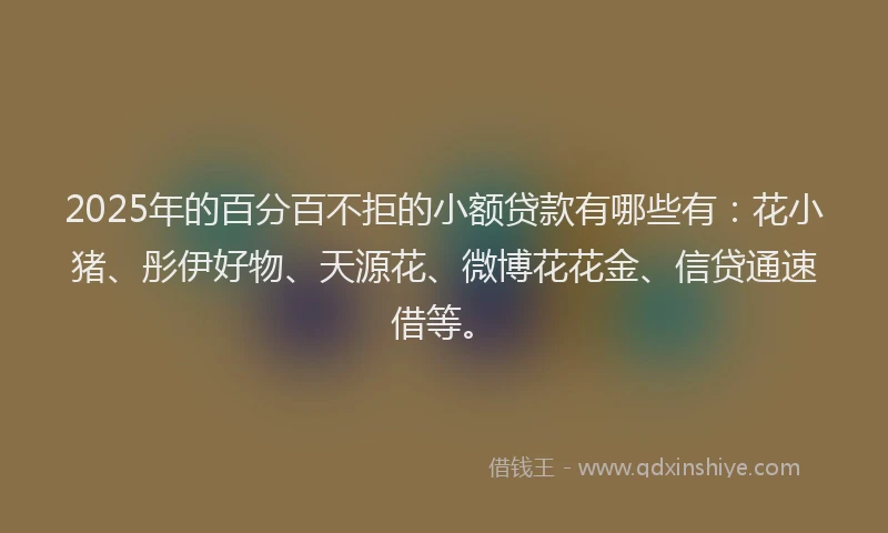 2025年的百分百不拒的小额贷款有哪些有：花小猪、彤伊好物、天源花、微博花花金、信贷通速借等。