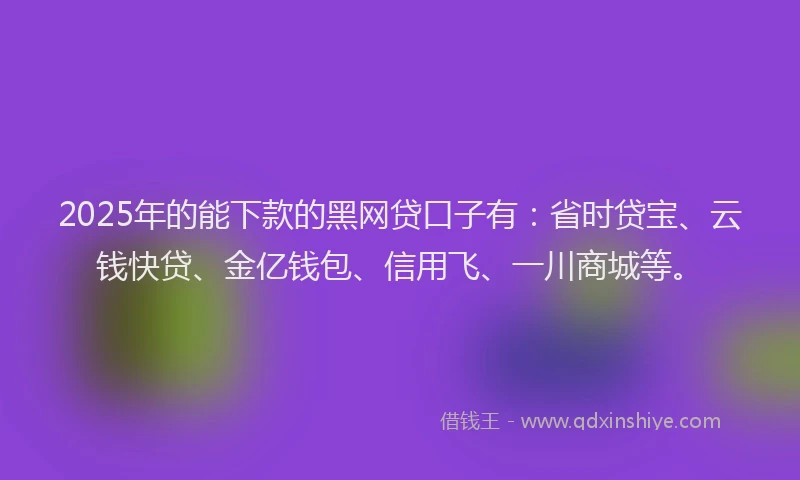 2025年的能下款的黑网贷口子有：省时贷宝、云钱快贷、金亿钱包、信用飞、一川商城等。