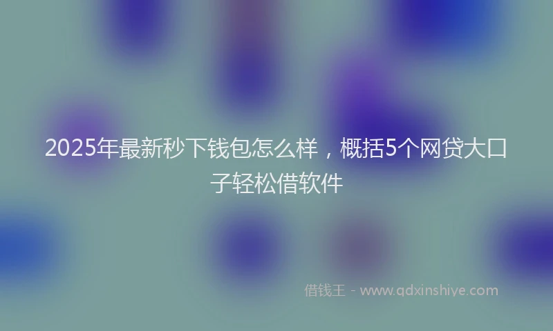 2025年最新秒下钱包怎么样，概括5个网贷大口子轻松借软件