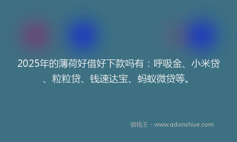 2025年的薄荷好借好下款吗有：呼吸金、小米贷、粒粒贷、钱速达宝、蚂蚁微贷等。
