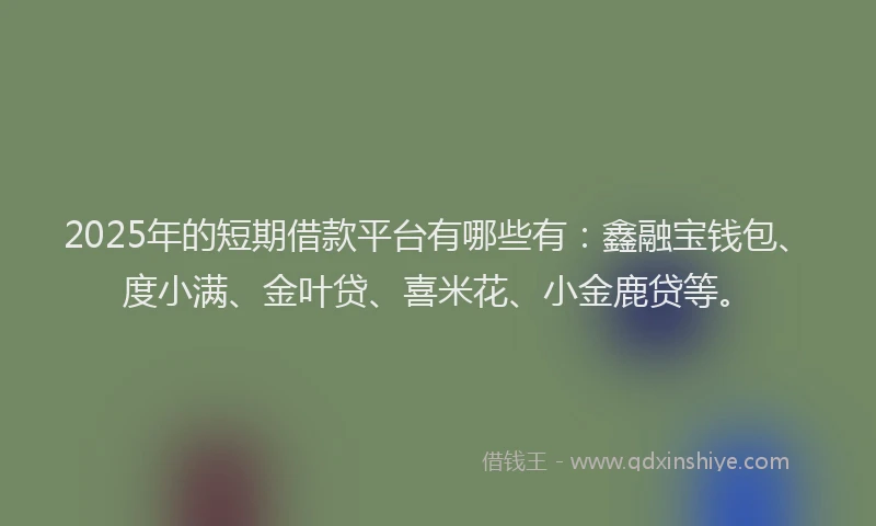 2025年的短期借款平台有哪些有：鑫融宝钱包、度小满、金叶贷、喜米花、小金鹿贷等。