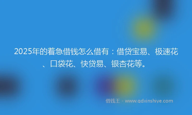 2025年的着急借钱怎么借有：借贷宝易、极速花、口袋花、快贷易、银杏花等。