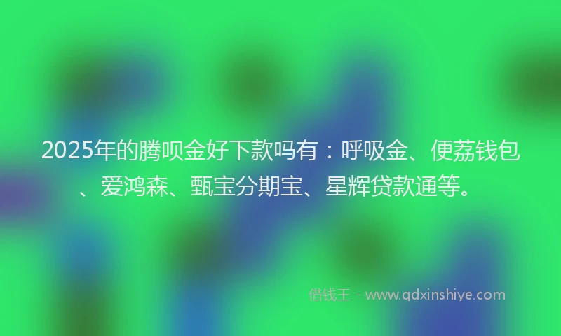 2025年的腾呗金好下款吗有：呼吸金、便荔钱包、爱鸿森、甄宝分期宝、星辉贷款通等。