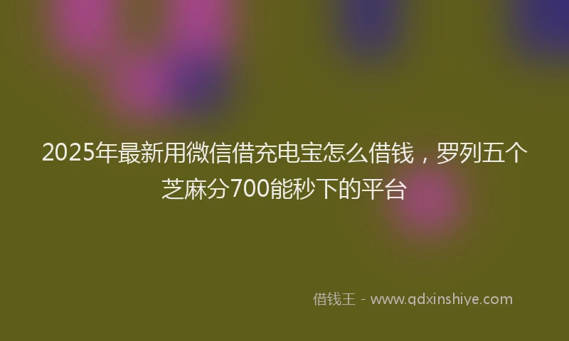 2025年最新用微信借充电宝怎么借钱，罗列五个芝麻分700能秒下的平台