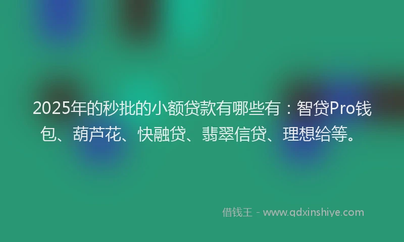 2025年的秒批的小额贷款有哪些有：智贷Pro钱包、葫芦花、快融贷、翡翠信贷、理想给等。