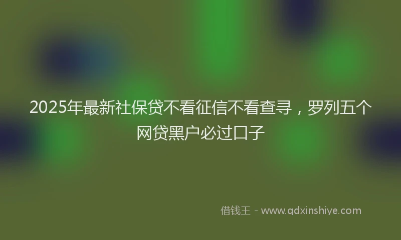 2025年最新社保贷不看征信不看查寻，罗列五个网贷黑户必过口子