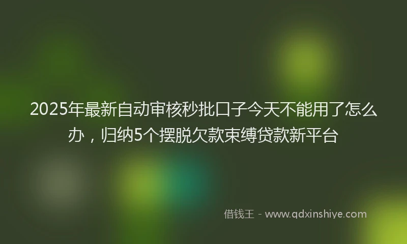 2025年最新自动审核秒批口子今天不能用了怎么办，归纳5个摆脱欠款束缚贷款新平台