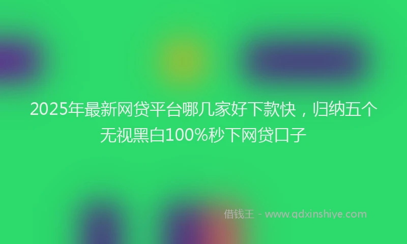 2025年最新网贷平台哪几家好下款快，归纳五个无视黑白100%秒下网贷口子