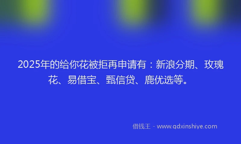 2025年的给你花被拒再申请有：新浪分期、玫瑰花、易借宝、甄信贷、鹿优选等。