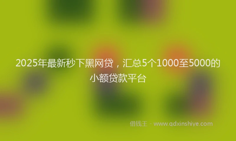 2025年最新秒下黑网贷，汇总5个1000至5000的小额贷款平台