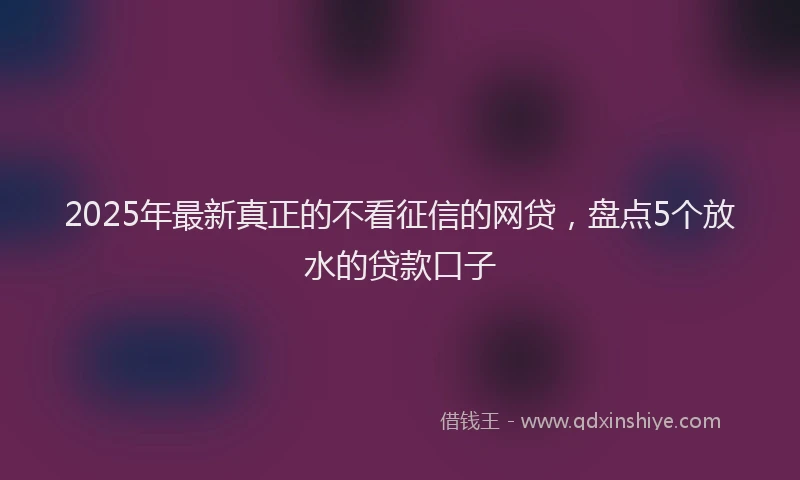 2025年最新真正的不看征信的网贷，盘点5个放水的贷款口子