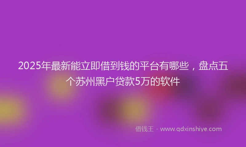 2025年最新能立即借到钱的平台有哪些，盘点五个苏州黑户贷款5万的软件