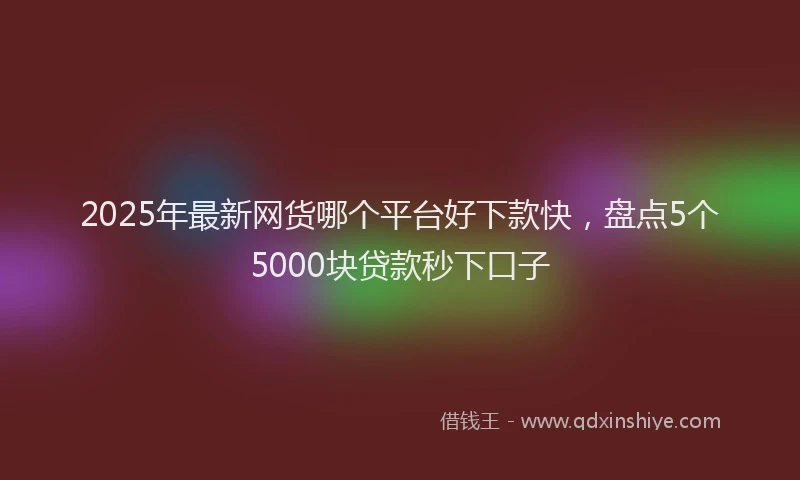 2025年最新网货哪个平台好下款快，盘点5个5000块贷款秒下口子