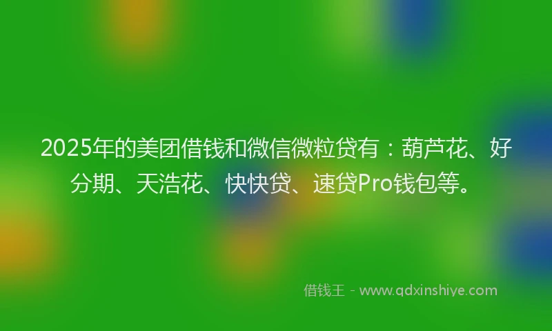 2025年的美团借钱和微信微粒贷有：葫芦花、好分期、天浩花、快快贷、速贷Pro钱包等。