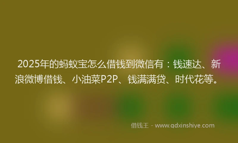 2025年的蚂蚁宝怎么借钱到微信有：钱速达、新浪微博借钱、小油菜P2P、钱满满贷、时代花等。