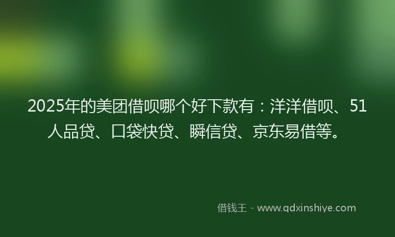 2025年的美团借呗哪个好下款有：洋洋借呗、51人品贷、口袋快贷、瞬信贷、京东易借等。