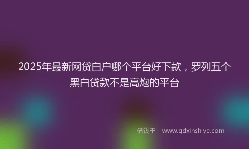2025年最新网贷白户哪个平台好下款，罗列五个黑白贷款不是高炮的平台