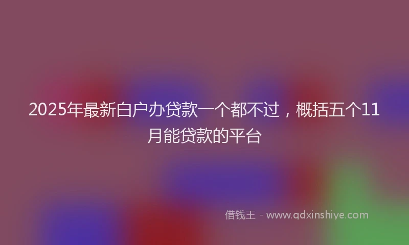 2025年最新白户办贷款一个都不过，概括五个11月能贷款的平台