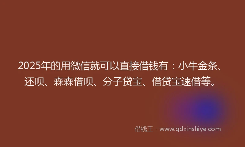 2025年的用微信就可以直接借钱有：小牛金条、还呗、森森借呗、分子贷宝、借贷宝速借等。