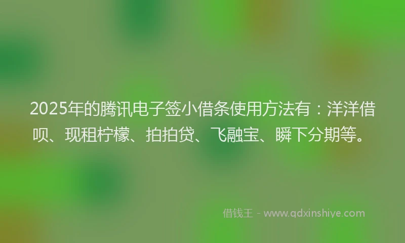 2025年的腾讯电子签小借条使用方法有：洋洋借呗、现租柠檬、拍拍贷、飞融宝、瞬下分期等。