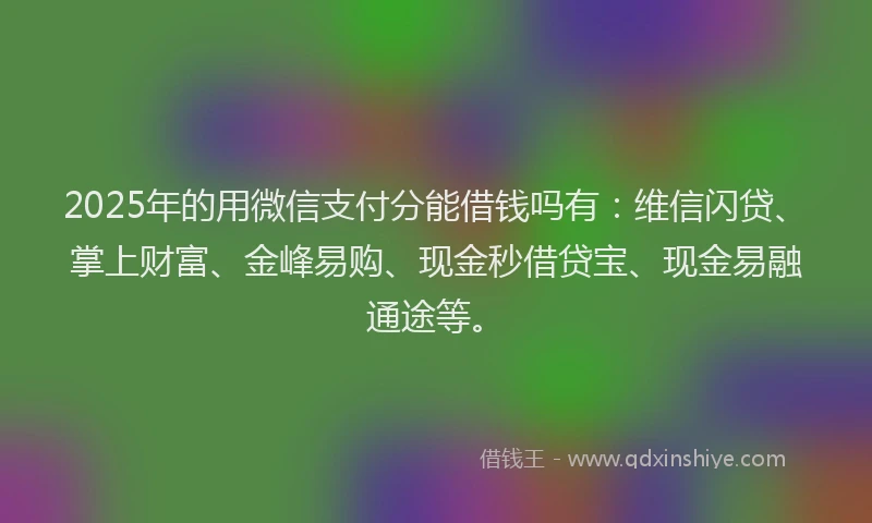 2025年的用微信支付分能借钱吗有：维信闪贷、掌上财富、金峰易购、现金秒借贷宝、现金易融通途等。