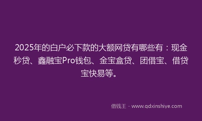 2025年的白户必下款的大额网贷有哪些有：现金秒贷、鑫融宝Pro钱包、金宝盒贷、团借宝、借贷宝快易等。