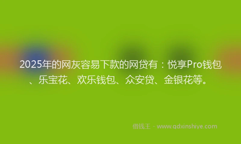 2025年的网灰容易下款的网贷有：悦享Pro钱包、乐宝花、欢乐钱包、众安贷、金银花等。