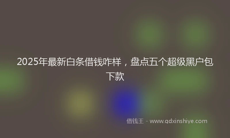 2025年最新白条借钱咋样，盘点五个超级黑户包下款